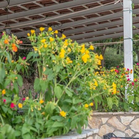Luxury Country House In Kalamata / Sp Kültér fotó