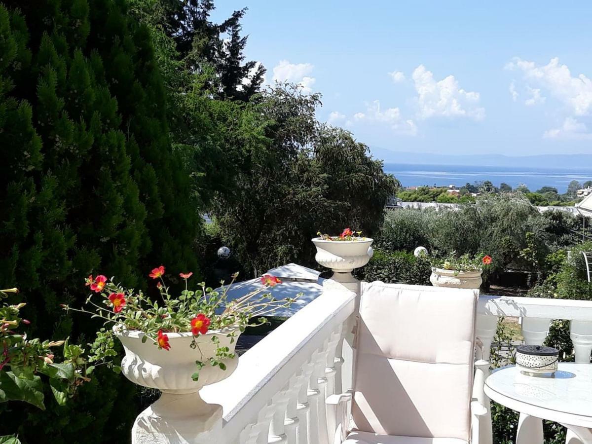 Luxury Country House In Kalamata / Sp Kültér fotó