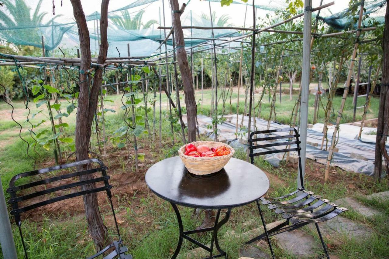 Luxury Country House In Kalamata / Sp Kültér fotó